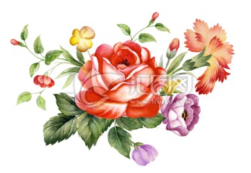 玫瑰花