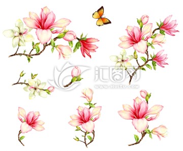 手畫稿朵花