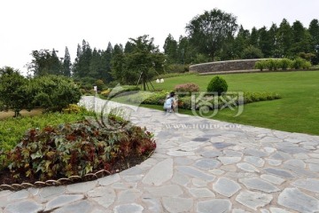 上海辰山植物园 矿坑花园 高清