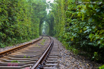 绿荫火车隧道