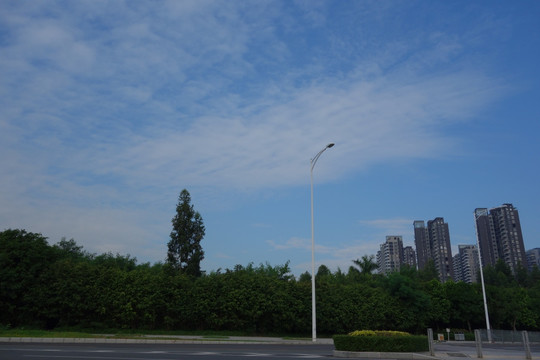 深圳建筑 绿化
