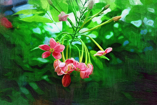 電腦油畫 花