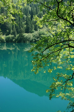 彩色的湖水 高清九寨沟风景