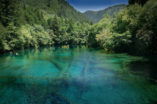 青山绿水映倒影 高清九寨沟风景