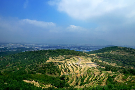 丘陵山顶风光