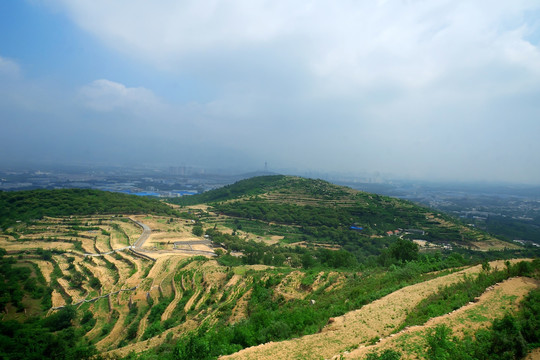 丘陵地