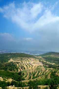 丘陵梯田