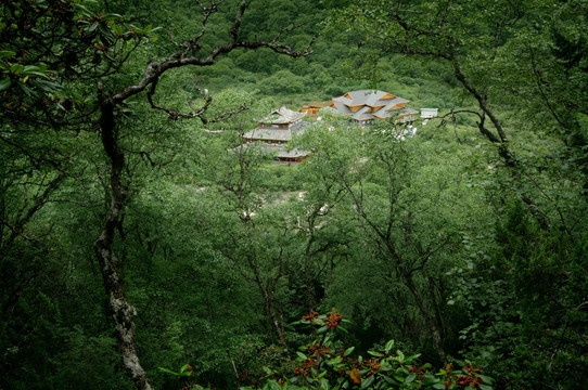 山谷中的寺庙 高清九寨沟山水