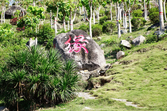 南山寺 石刻缘字