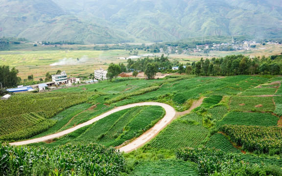 乡级公路