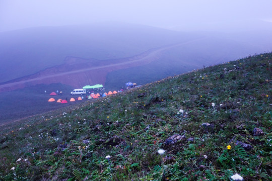 高山草甸营地