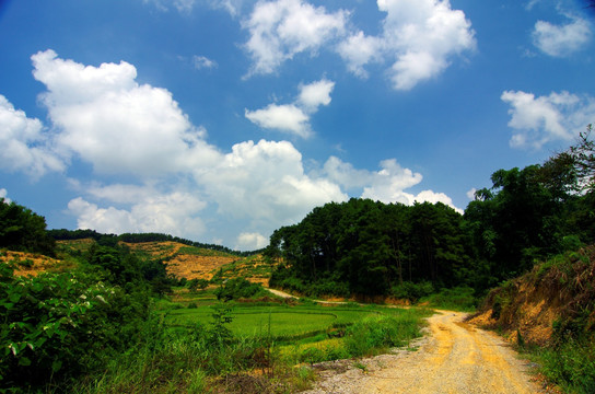 大自然风景