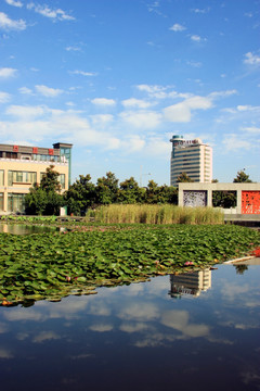 西安 城市风光 高新区建筑