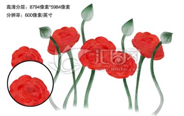 花卉分層