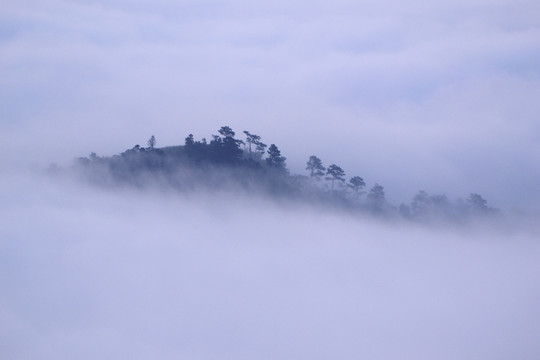 水墨山林 云雾 雾气 雾 弥漫