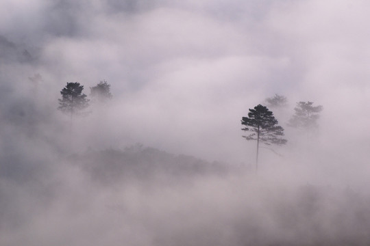 水墨山林