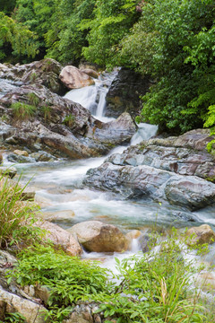 山涧 溪流 原生态