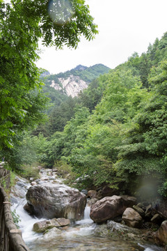 山涧 流水 原生态