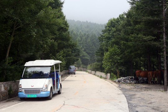 北京白草畔风景区