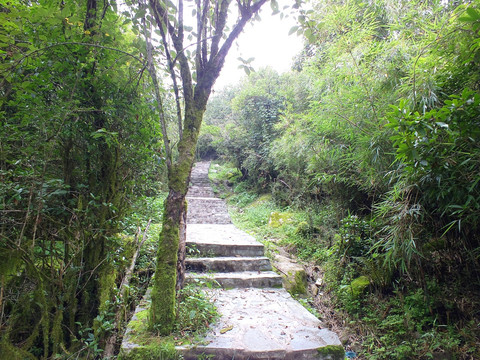 登山步道