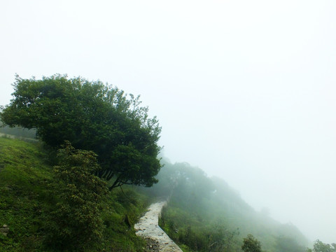 登山步道