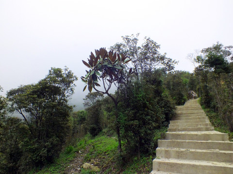 登山步道