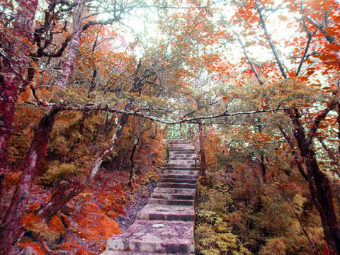 登山步道