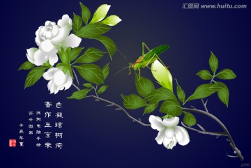梔子