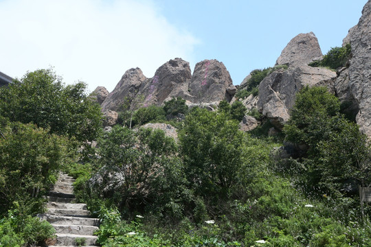 北京白草畔风景区