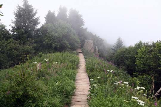 北京白草畔风景区