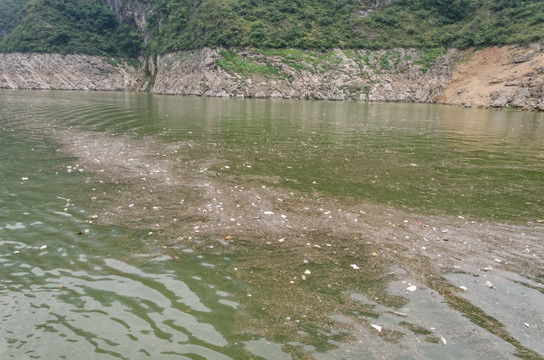 长江污染 水道垃圾 水体污染