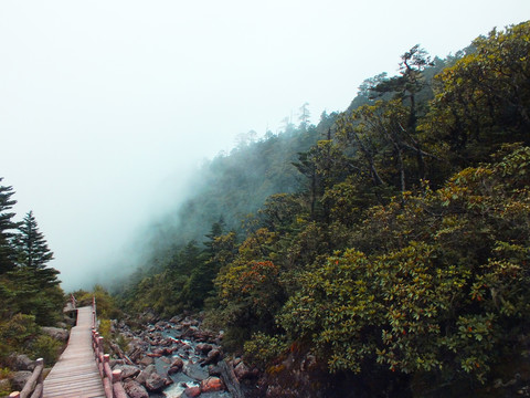 登山步道