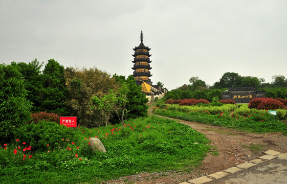 风景