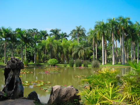 西双版纳植物园