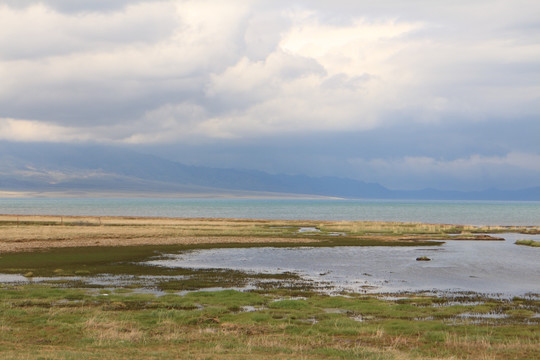 湖边湿地