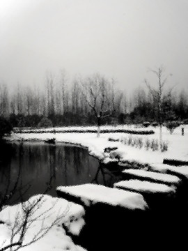 雪景