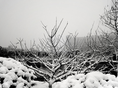 唯美雪景