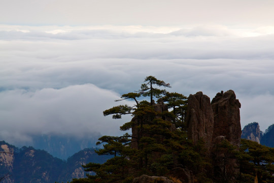 黄山风光