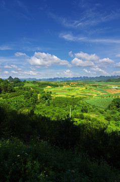 风景