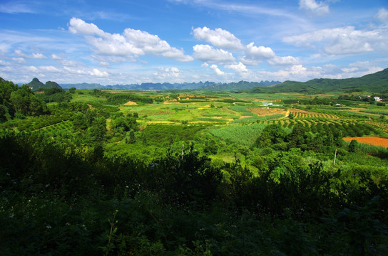 风景