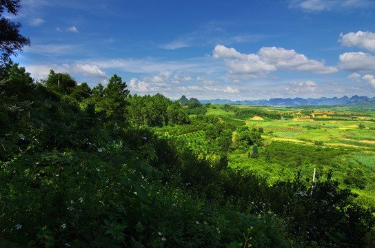 风景