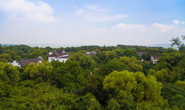 大观园全景