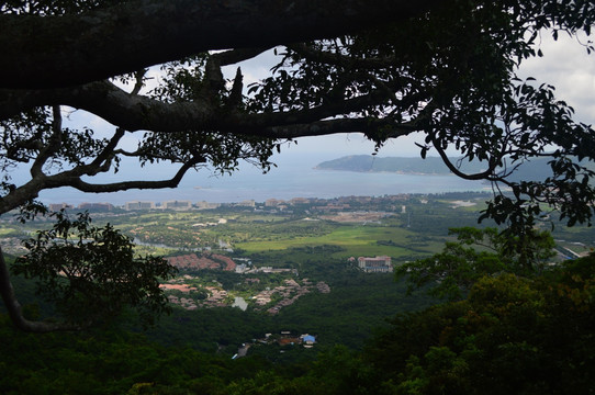 登山望海