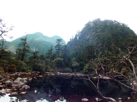 高山湖泊