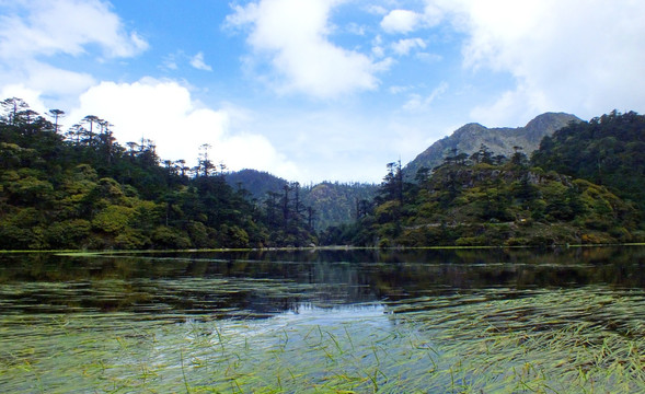 高山湖泊