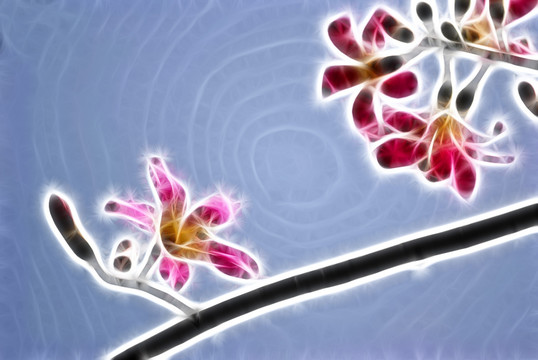 裝飾畫 花
