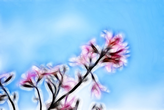 裝飾畫 花