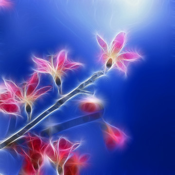 裝飾畫 花