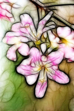 裝飾畫 花