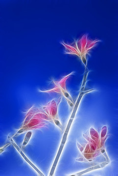 裝飾畫 花